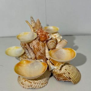 Seashell Jewelry Holder | Coastal Ring & Earring Stand | Beach-Inspired Decor