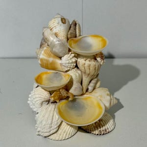 Seashell Jewelry Holder | Coastal Ring & Earring Stand | Beach-Inspired Decor