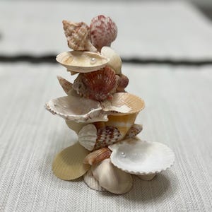 Seashell Jewelry Holder