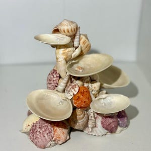 Seashell Jewelry Holder | Coastal Ring & Earring Stand | Beach-Inspired Decor