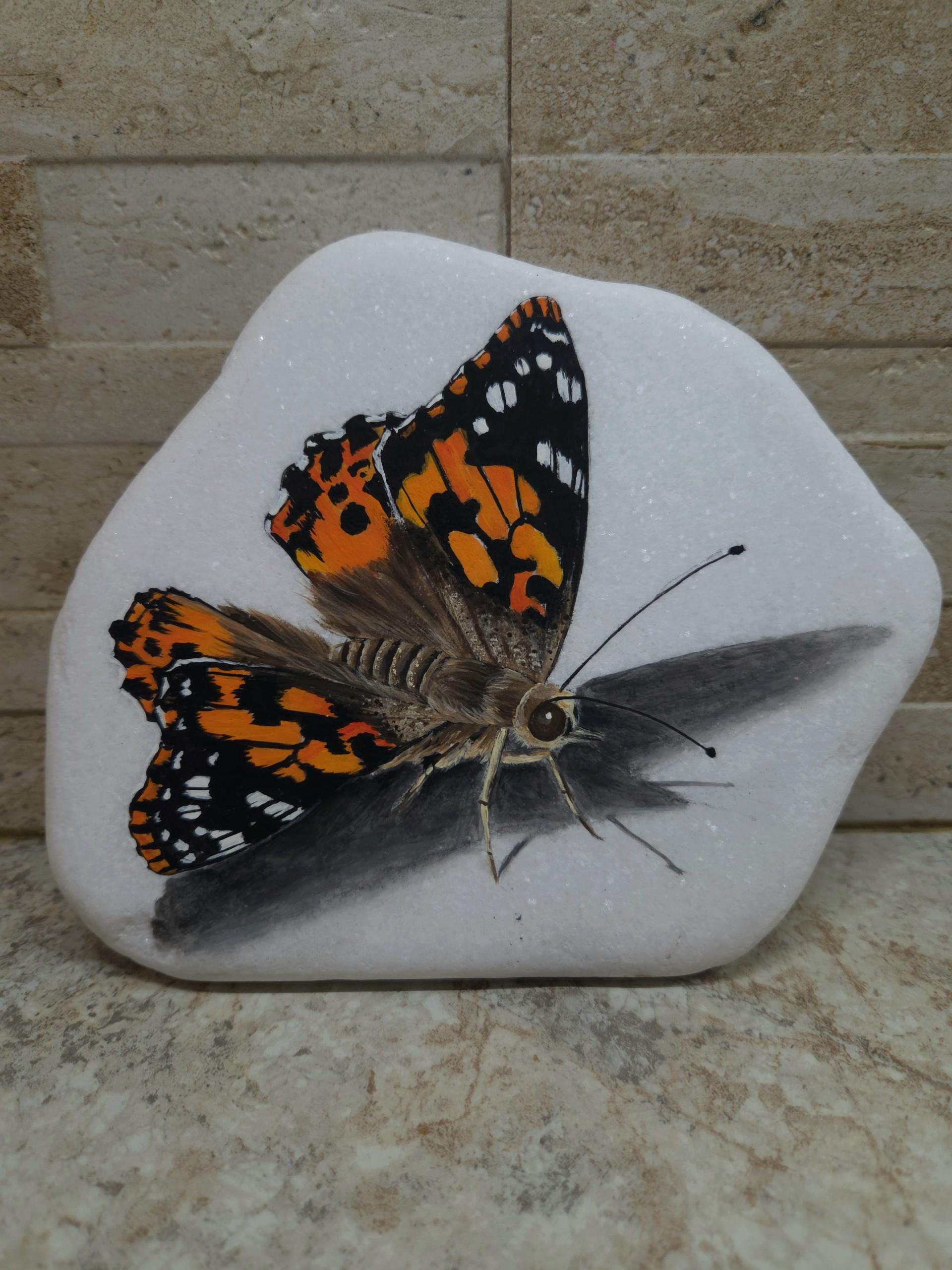 Schmetterling bemalte Steine
