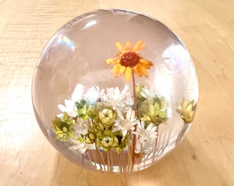 May include: A clear glass sphere with a preserved flower arrangement inside. The arrangement features a single yellow daisy with white and green flowers surrounding it.