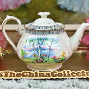 SÄLLSYNT Royal Albert Silver Birch Liten Tekanna, Engelsk Benporslin Blommig Tekanna