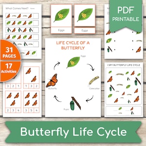 Activiteitenbundel vlinderlevenscyclus, vlinderactiviteiten, vlinder leren, studie vlindereenheid, vlinderset, printables levenscyclus