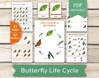 Butterfly Life Cycle Activity Bundle: Educational Printable Set (PDF Printables)