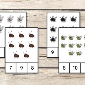 Numeral Insect Bugs & Insects Counting Cards, Montessori Preschool Activity (PDF ...