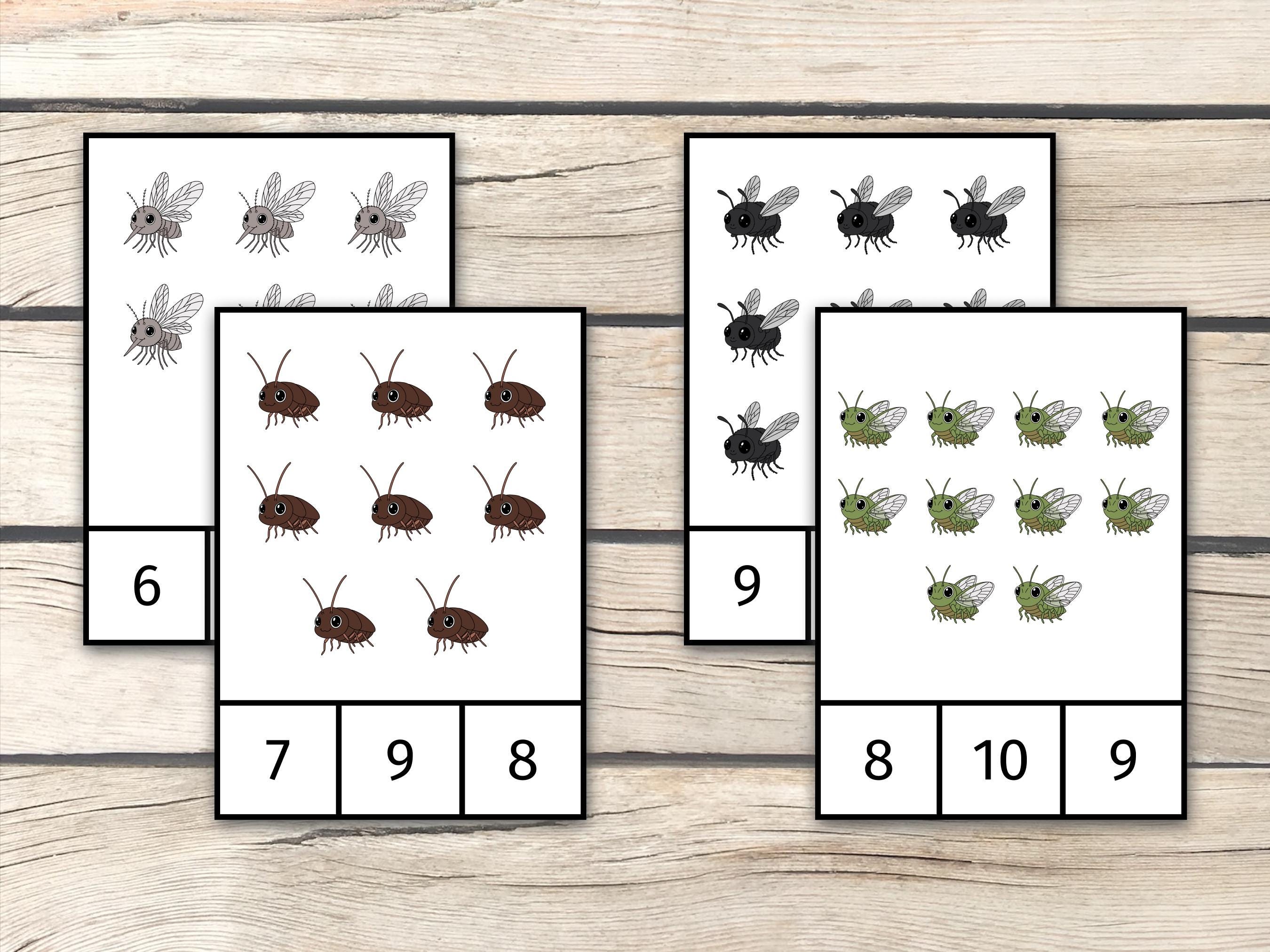Bugs & Insects Counting Cards, Montessori Preschool Activity (PDF ...