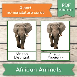 ANIMALI AFRICANI • 14 Carte Montessori Animali, Carte in 3 parti, FlashCard con nomenclatura, Carte PDF stampabili Giocattoli prescolari