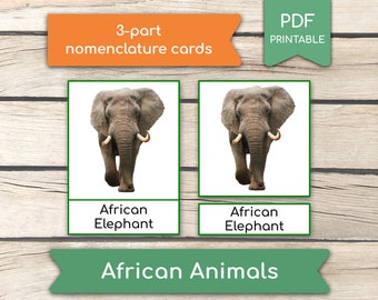 AFRIKANSKA DJUR • 14 djur Montessorikort, 3-delade kort, nomenklaturkort, PDF-utskrivbara kort förskoleleksaker