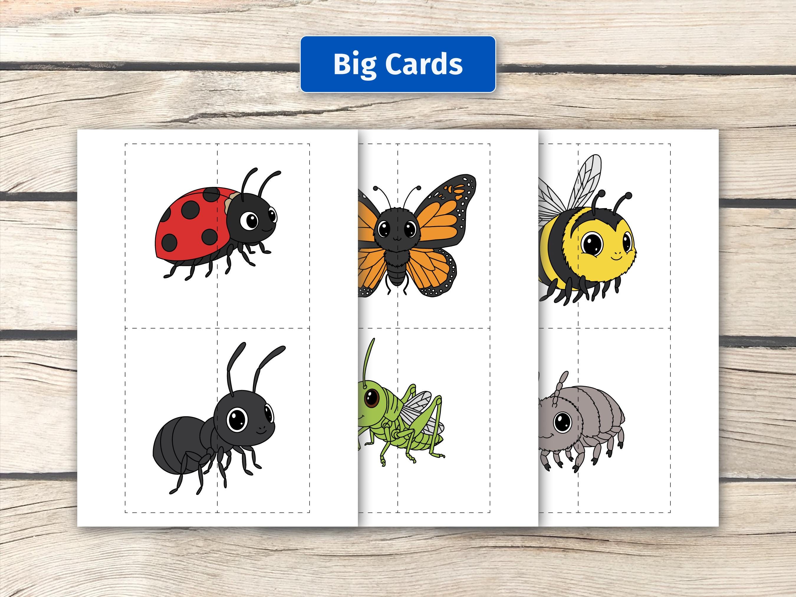 Bugs & Insects Halves Matching Game: Preschool Learning Activity (PDF ...