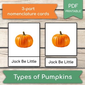 Tipi di zucche • 10 tipi di zucche (immagine reale) Carte Montessori, Carte autunnali, Carte in 3 parti, FlashCard con nomenclatura, Carte di Halloween
