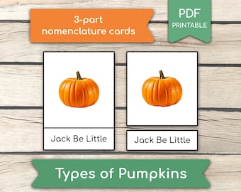 Tarjetas Montessori de tipos de calabaza: Tarjetas didácticas de nomenclatura de 3 partes (imagen real) (PDF imprimible)
