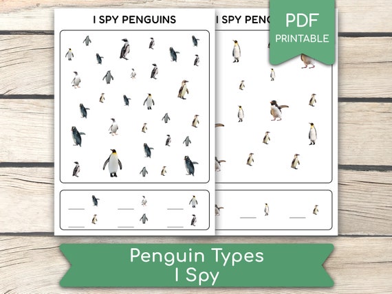 Penguin Types I Spy Worksheet, Penguin Types Activity, I Spy Activity, Educational Preschool, Busy Book Pages, Homeschool, Pdf Printables