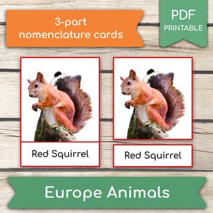 ANIMALES DE EUROPA • 14 Tarjetas Montessori de Animales, Tarjetas de 3 Partes, Tarjetas Flash de Nomenclatura, Actividad de Aprendizaje en el Hogar, Tarjetas Imprimibles en PDF
