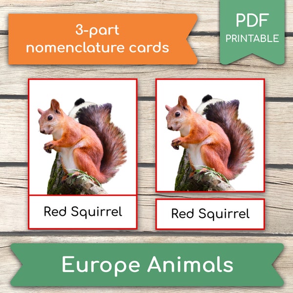 EUROPE ANIMALS • 14 Animals Montessori Cards, 3-Part Cards, Nomenclature FlashCards, Homeschool Learning Activity, PDF Printable Cards