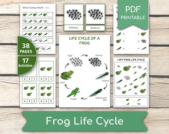 Frog Life Cycle Activity Bundle, Frog Activities, Learn Frogs, Frog Unit Study Resources, Frog Life Cycle Activity Set, Life Cycle Printable
