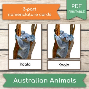 AUSTRALIAN ANIMALS • 14 Animals Montessori Cards, 3-Part Cards, Nomenclature FlashCards, PDF Printable Cards preschool Toys