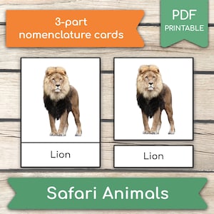 10 animali del safari (immagini reali) Carte Montessori, Carte sugli animali, Carte in 3 parti, Flashcard sulla nomenclatura, Impara gli animali del safari