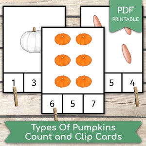 Counting Types of Pumpkins 1 to 10 Montessori Cards Preschool Counting Activity, Homeschool Learning Activity, PDF Printable Clip Cards