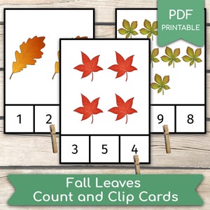 Herbstblätter zählen 1 bis 10 Montessori Karten Vorschule Zählaktivität, Lernaktivität zu Hause, PDF druckbare Clipkarten