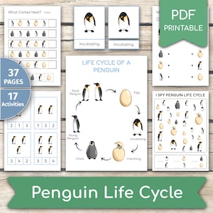 Könnte beinhalten: Eine druckbare Lernressource zum Lebenszyklus des Pinguins mit 37 Seiten und 17 Aktivitäten. Die Ressource enthält ein Lebenszyklusdiagramm, eine Aktivität „Was kommt als Nächstes?“, eine „Ich sehe“-Aktivität und den Titel „Lebenszyklus eines Pinguins“.