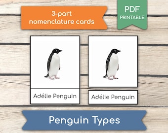 Penguins Species Identification Montessori 3 Part Cards, Preschool
