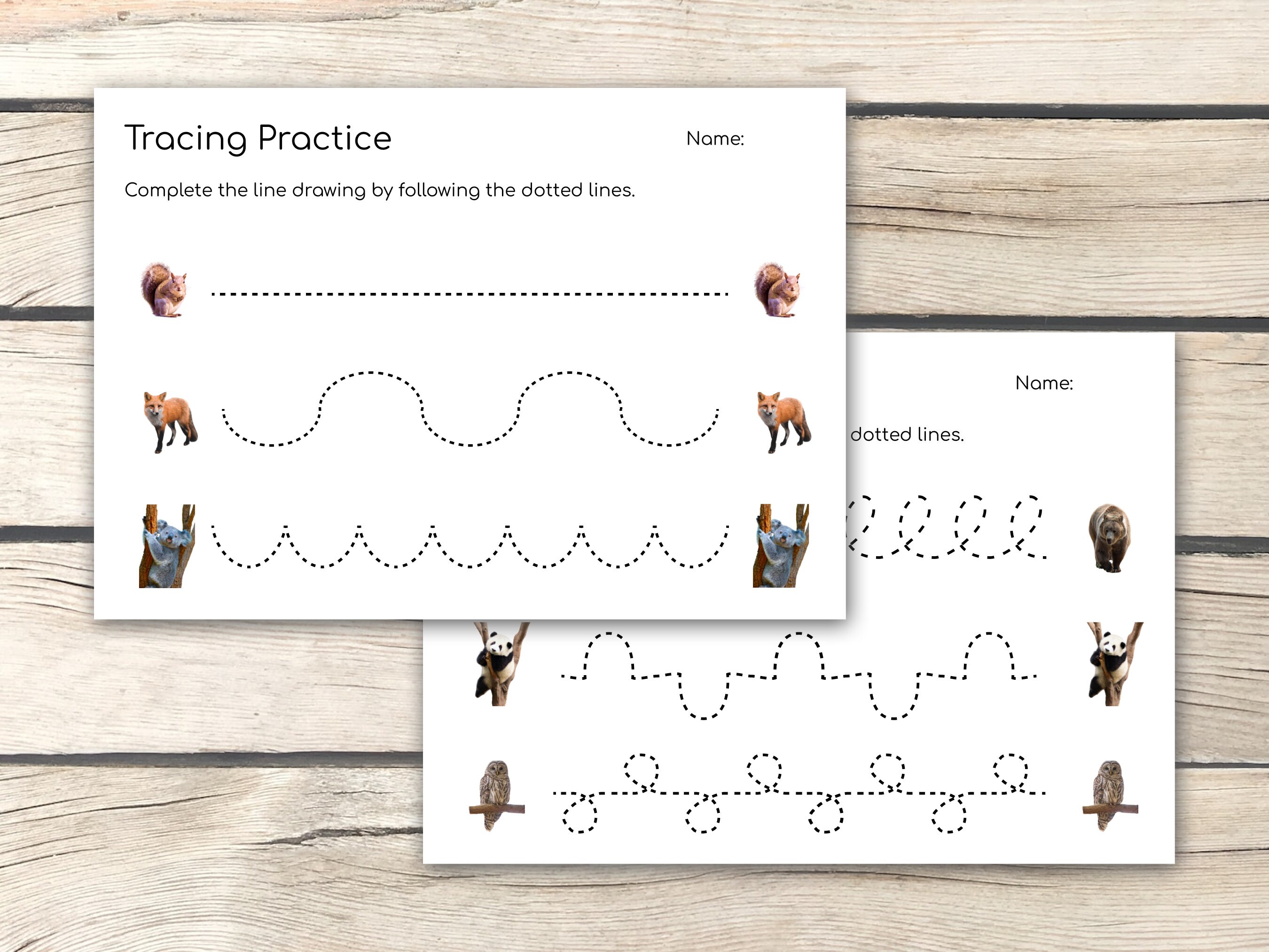Forest Animals Line Tracing Practice (real Pictures): Pre-writing ...