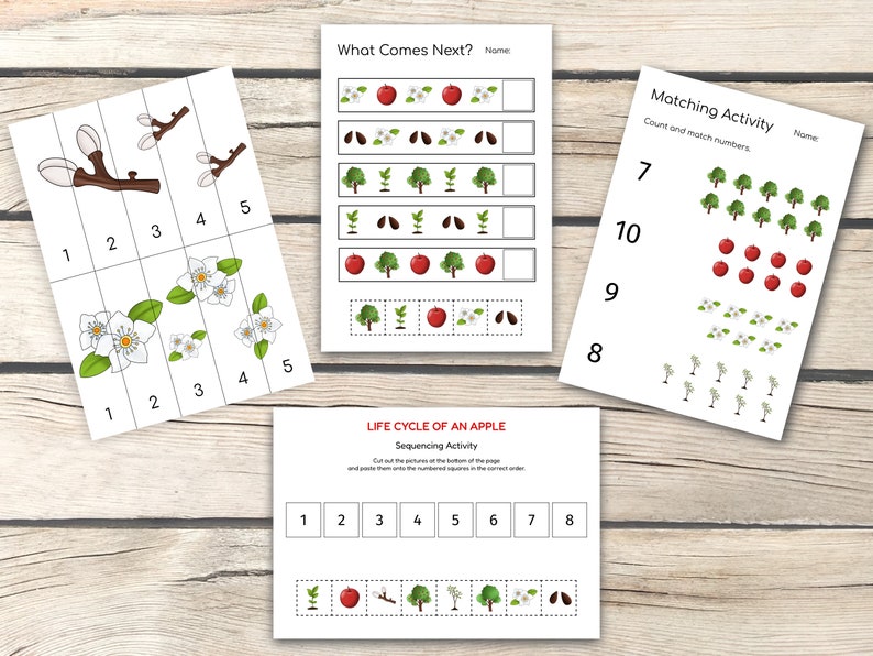 Apple Life Cycle Activity Bundle, Apple Activities, Parts of an Apple ...