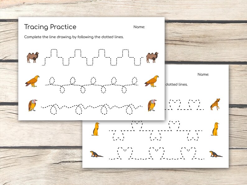 Desert Animals Preschool Line Tracing Practice, Pre-writing Activities ...