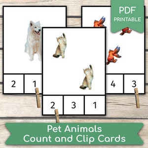 Contando animais de estimação (fotos reais) 1 a 10 cartões Montessori Atividade de contagem pré-escolar, atividade de aprendizagem em casa, PDF para impressão