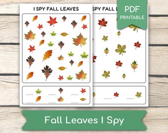 Fall Leaves I Spy Worksheet: Preschool Activity (PDF Printables)