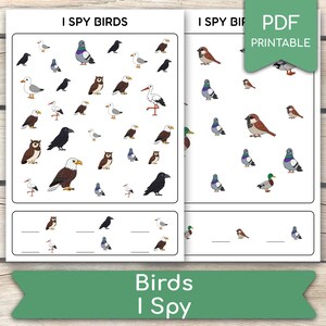 May include: Two printable "I Spy Birds" activity sheets. The sheets feature various bird illustrations, including eagles, owls, and pigeons, with spaces for counting. A green banner at the bottom reads "Birds I Spy". A PDF printable label is in the top right corner.
