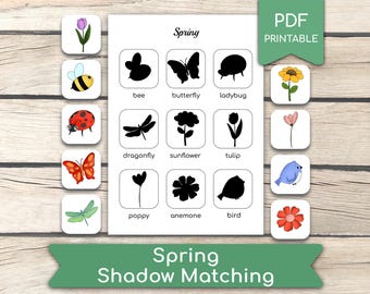 Juego de sombras de primavera: Actividad educativa preescolar (PDF imprimible)