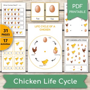 Paquete de actividades sobre el ciclo de vida del pollo, actividades relacionadas con el pollo, aprender sobre el pollo, estudio de unidad sobre el pollo, conjunto de actividades sobre el pollo, imprimibles sobre el ciclo de vida