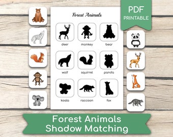 Forest Animals Shadow Matching Game: Preschool Activity (PDF Printables ...
