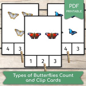 Contando tipos de mariposas del 1 al 10, Tarjetas Montessori, Actividad de conteo preescolar, Actividad de aprendizaje en el hogar, Tarjetas de clip imprimibles en PDF