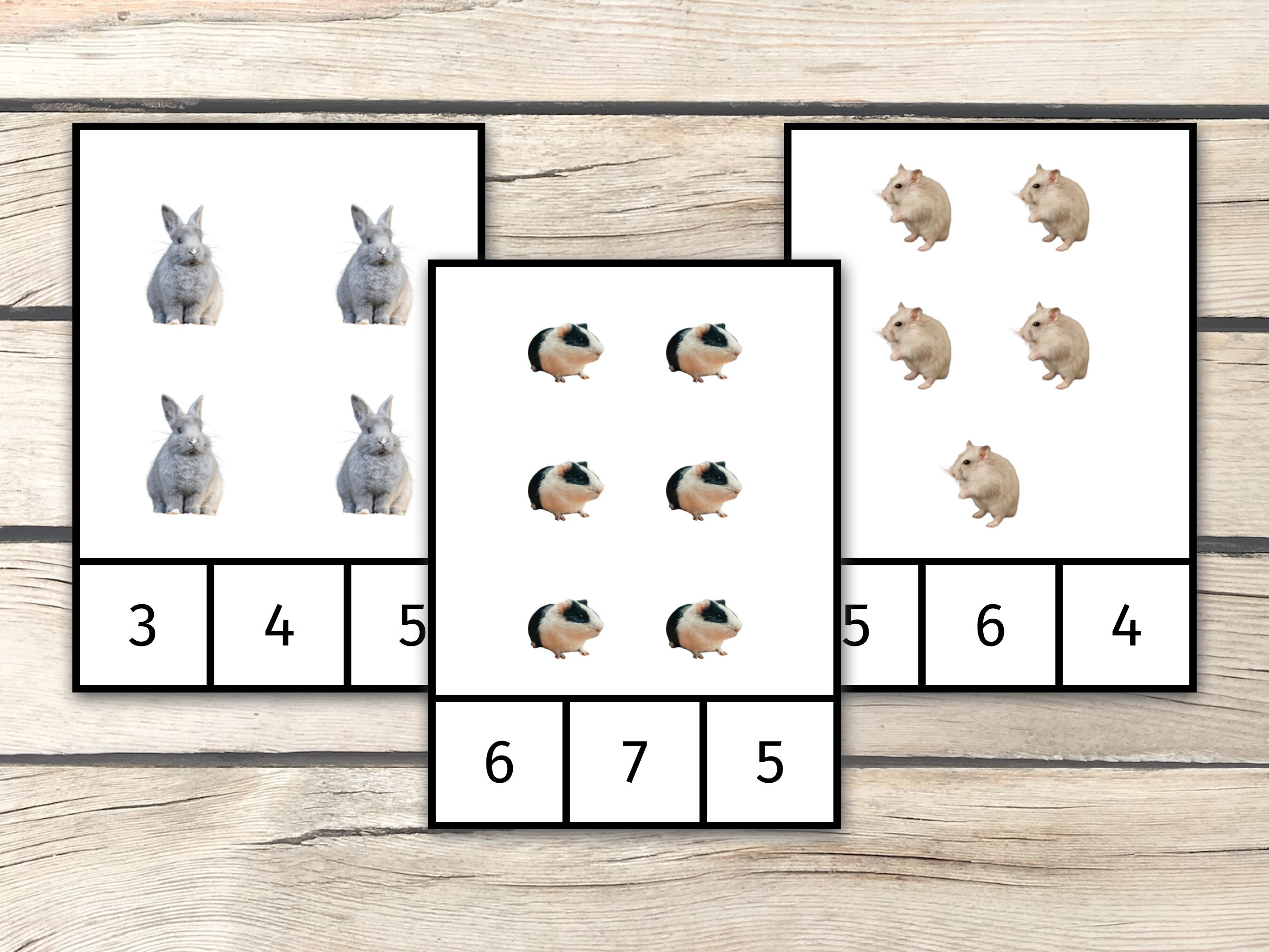 Counting Pet Animals (real Pictures) 1 to 10 Montessori Cards Preschool ...