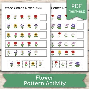 Puede incluir: Una hoja de actividades en PDF imprimible con patrones de flores. La hoja presenta filas de varias ilustraciones de flores, como rosas, girasoles y margaritas, con espacios en blanco para completar el patrón. El título "What Comes Next?" está en la parte superior.