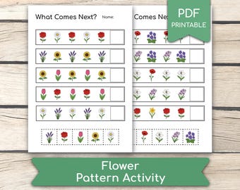 Può includere: Un foglio di attività PDF stampabile con motivi floreali. Il foglio presenta file di varie illustrazioni floreali, come rose, girasoli e margherite, con spazi vuoti per completare il motivo. Il titolo "What Comes Next?" è in alto.