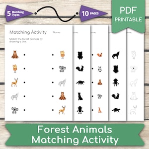 Forest Animals Matching Activity: Preschool Kindergarten Worksheet (PDF Printables)