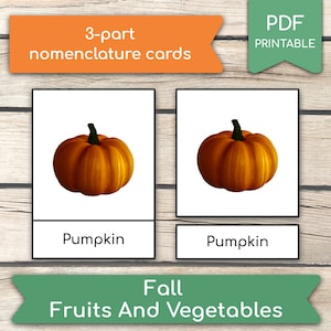 Frutas y verduras de otoño • 16 Tarjetas Montessori de frutas y verduras de otoño, Tarjetas de otoño, Tarjetas de otoño, Tarjetas de 3 partes, Tarjetas flash de nomenclatura
