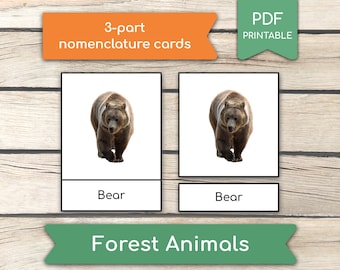 Waldtiere Montessori 3-teilige Karten (echte Bilder): 3-teilige Nomenklatur Karteikarten (PDF Printables)