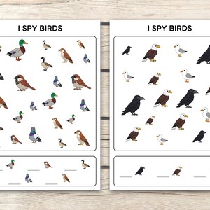 May include: Two printable activity sheets with the text "I Spy Birds". Each sheet features colorful illustrations of various birds, including ducks, eagles, and sparrows. The bottom of each sheet has a section with lines for writing.