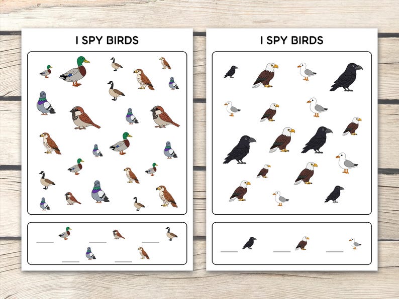 May include: Two printable activity sheets with the text "I Spy Birds". Each sheet features colorful illustrations of various birds, including ducks, eagles, and sparrows. The bottom of each sheet has a section with lines for writing.