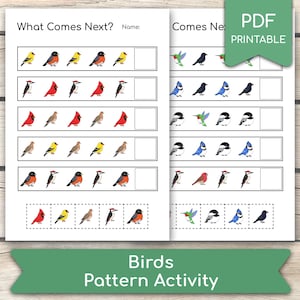May include: Two printable worksheets with bird pattern activities. The worksheets feature colorful illustrations of various birds in a pattern sequence. The text "What Comes Next?" and "Birds Pattern Activity" are visible.