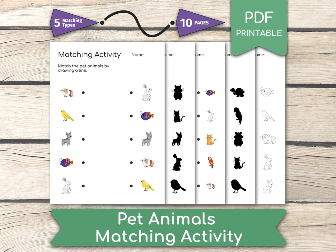 Pet Animals Matching Activity 5 Different Types Worksheet • 10 Pages ...