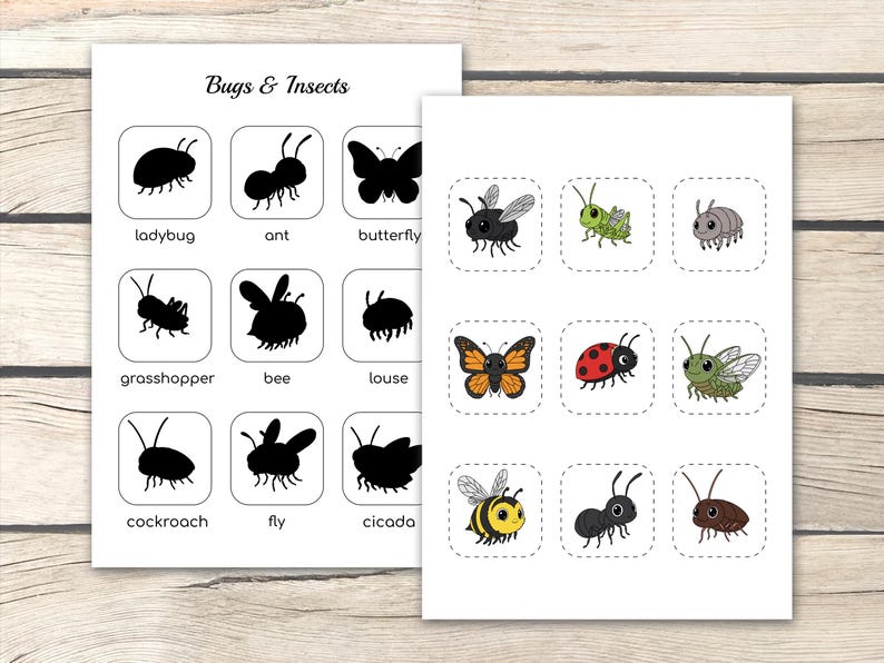 Shadow Insect Worksheet Bugs & Insects Shadow Matching Game, Preschool Activity (PDF Printables ...