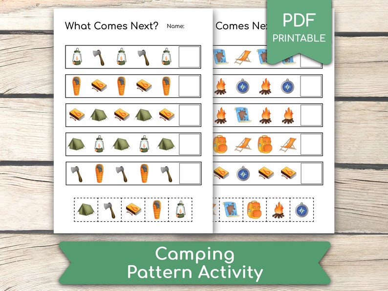 Camping WHAT COMES NEXT? Worksheet, Pattern Activity, Educational ...