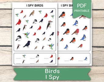 Birds I Spy Worksheet, Backyard Birds Activity, I Spy Activity, Educational Preschool, Busy Book Pages, Homeschool, Pdf Printables