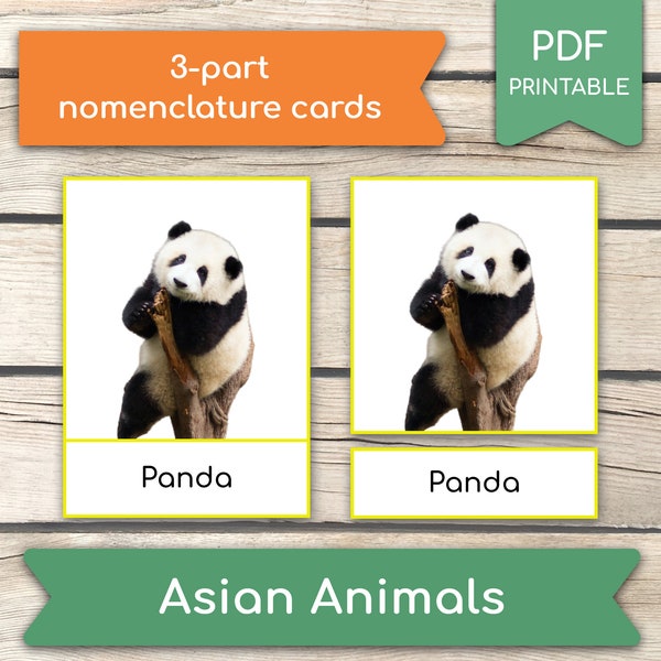 Asian Animals Montessori Cards, 3-Part Cards, Nomenclature FlashCards, Homeschool Learning Activity, Pdf Printable Three Part Cards